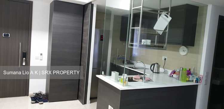 Rivertrees Residences (D28), Apartment #204492351